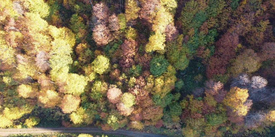 2 bin 80 rakımlı Genya dağında Sonbahar’da renk cümbüşü yaşanıyor