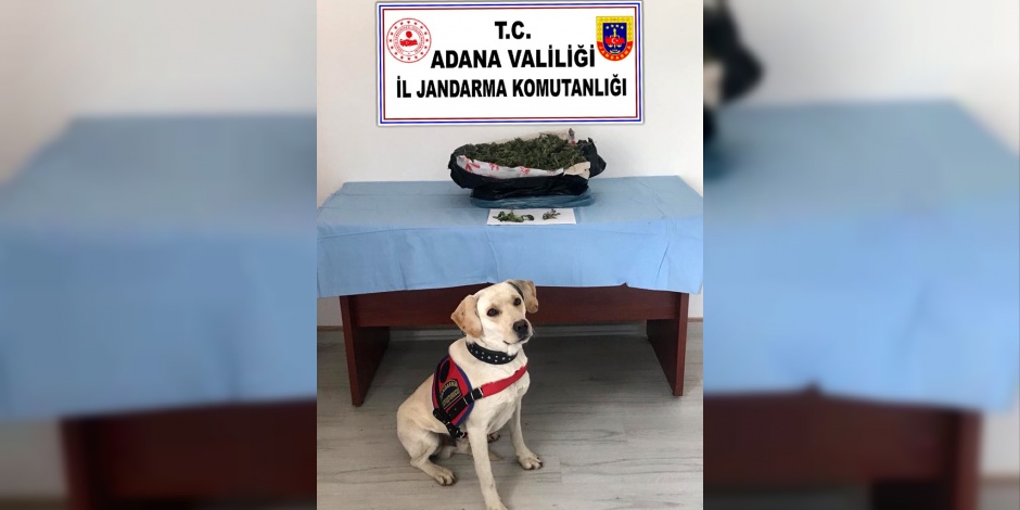 Adana’da uyuşturucu operasyonu: 2 gözaltı