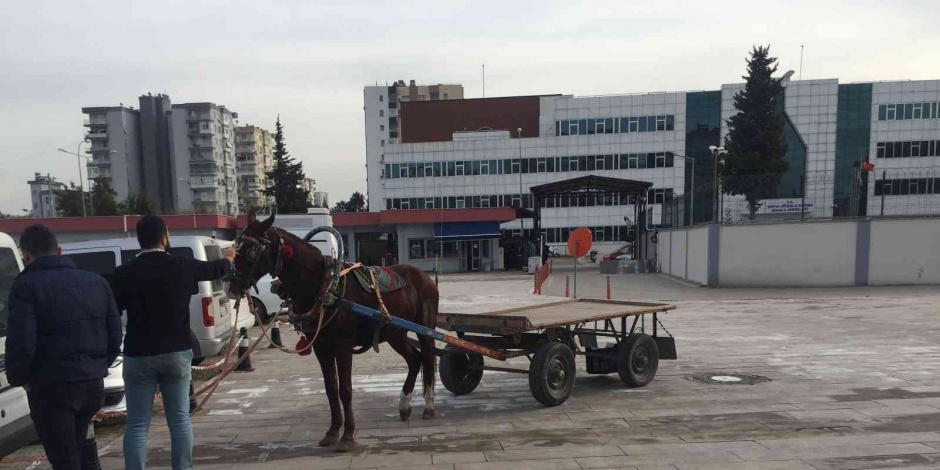 Adana'da at arabasıyla uyuşturucu satan baba oğul ifadesi: Kim koymuş bilmiyoruz
