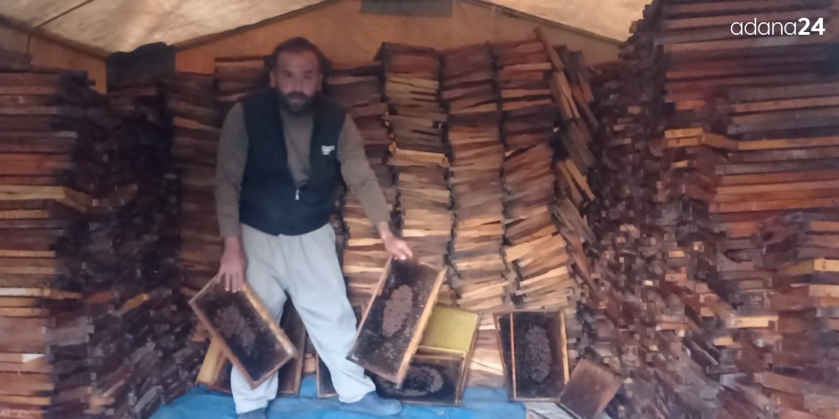 Adana’da 500 kovandaki binlerce arı telef oldu