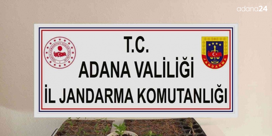 Adana’da kenevir eken 3 kişi yakalandı